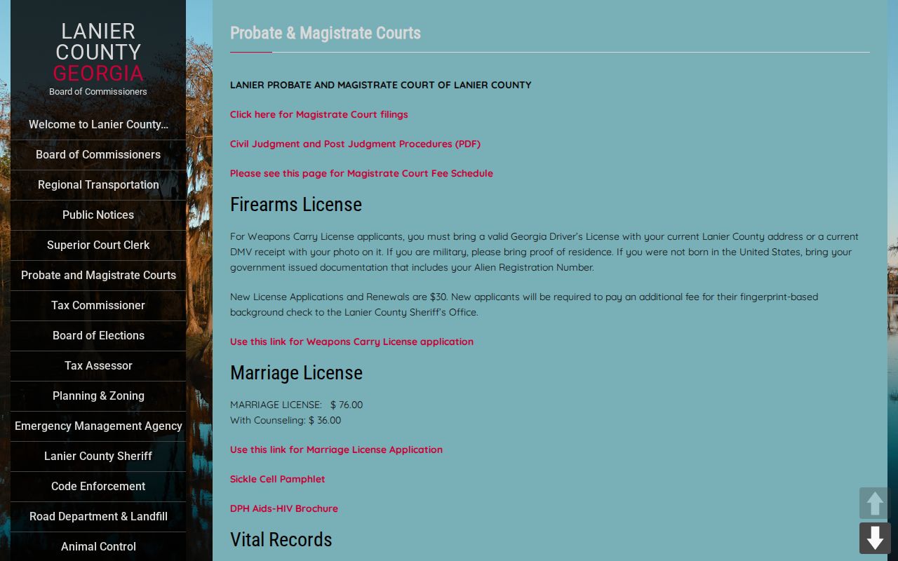 Official Lanier County Probate and Magistrate court page